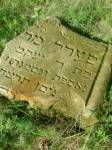Annopol - macewa na cmentarzu �ydowskim
