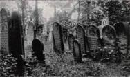 Archiwalne zdj�cie cmentarza �ydowskiego w Bia�ej