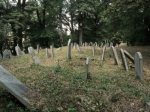cmentarz �ydowski w Bia�ej