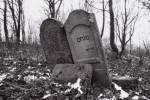B�a�owa - macewy na cmentarzu �ydowskim