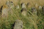 Cmentarz �ydowski w Bobowej