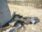 Cmentarz �ydowski w D�blinie Bobrownikach Jewish cemetery in Bobrowniki Judischer Friedhof Deblin Bobrowniki