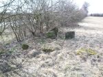 Cmentarz �ydowski w D�blinie Bobrownikach Jewish cemetery in Bobrowniki Judischer Friedhof Deblin Bobrowniki