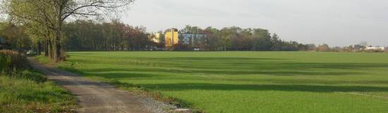 Cmentarz �ydowski w Bojanowie Jewish cemetery in Bojanowo