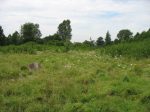 Bolimow - teren cmentarza �ydowskiego