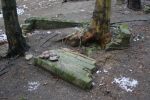 Bolszewo - zniszczony cmentarz �ydwoski