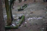 Bolszewo - zniszczony cmentarz �ydwoski