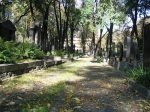 Bytom - cmentarz �ydowski