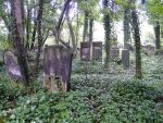 Cmentarz �ydowski w Cz�stochowie Jewish cemetery in Cz�stochowa