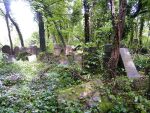 Cmentarz �ydowski w Cz�stochowie Jewish cemetery in Cz�stochowa