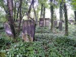 Cmentarz �ydowski w Cz�stochowie Jewish cemetery in Cz�stochowa