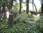 Cmentarz �ydowski w Cz�stochowie Jewish cemetery in Cz�stochowa