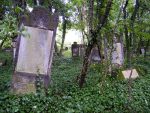 Cmentarz �ydowski w Cz�stochowie Jewish cemetery in Cz�stochowa
