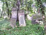 Cmentarz �ydowski w Cz�stochowie Jewish cemetery in Cz�stochowa