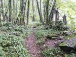 Cmentarz �ydowski w Cz�stochowie Jewish cemetery in Cz�stochowa