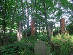 G�ogowek - cmentarz �ydowski