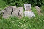 Gorlice - macewy na cmentarzu �ydowskim