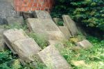 Goworowo - macewy z cmentarza �ydowskiego
