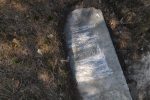 Cmentarz �ydowski w Inow�odzu Jewish cemetery in Inowlodz