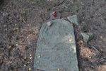 Cmentarz �ydowski w Inow�odzu Jewish cemetery in Inowlodz