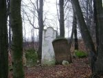 Jaros�aw - cmentarz �ydowski