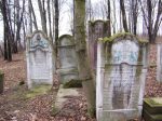 Jaros�aw - nagrobki na cmentarzu �ydowskim