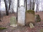 macewy na cmentarzu �ydowskim w Jaros�awiu