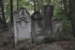 Jaros�aw - cmentarz �ydowski