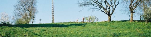 Jawornik Polski - teren cmentarza �ydowskiego