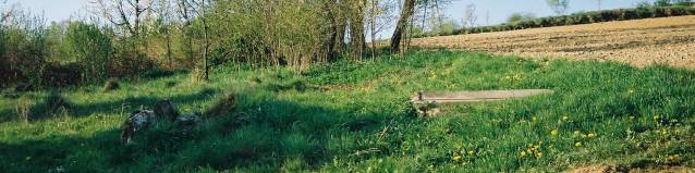 Jawornik Polski - teren cmentarza �ydowskiego