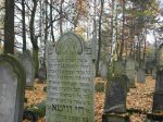 cmentarz �ydowski w Jaworznie