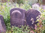 macewy na cmentarzu �ydowskim w J�zefowie