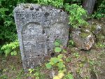 Macewy na cmentarzu �ydowskim w J�zefowie Bi�gorajskim