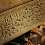 Cmentarz �ydowski w K�dzierzynie Ko�lu Jewish cemetery in Kedzierzyn Kozle