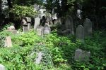Krak�w - cmentar �ydowski