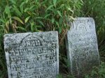 Krzesz�w - cmentarz �ydowski
