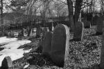 Cmentarz �ydowski w �abowej Jewish cemetery in Labowa