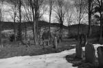 Cmentarz �ydowski w �abowej Jewish cemetery in Labowa