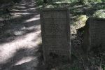 Cmentarz �ydowski w Lesku