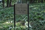 Cmentarz �ydowski w Lesku