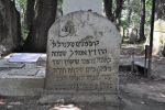 Cmentarz �ydowski w Lesku