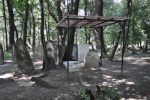 Cmentarz �ydowski w Lesku