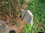 Cmentarz �ydowski w Le�nicy  Jewish cemetery in Lesnica