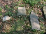 Cmentarz �ydowski w Le�nicy  Jewish cemetery in Lesnica