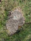 Lida - cmentarz �ydowski