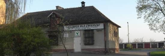 teren cmentarza �ydowskiego w Lipnie