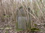 Markusz�w - cmentarz �ydowski