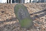 macewa na cmentarzu �ydowskim w Miko�owie