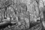 cmentarz �ydowski - Mi�sk Mazowiecki