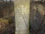 cmentarz �ydowski w Miros�awcu
